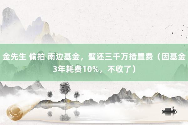 金先生 偷拍 南边基金，璧还三千万措置费（因基金3年耗费10%，不收了）