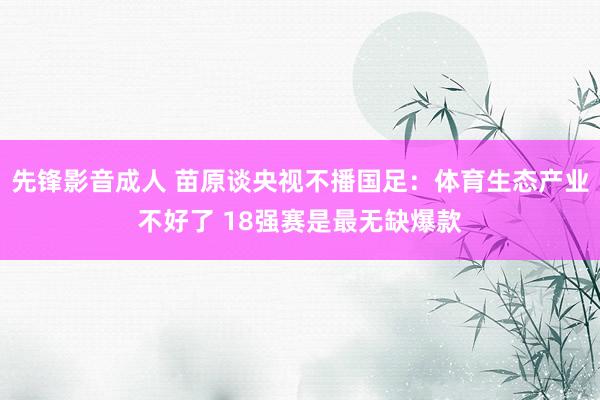 先锋影音成人 苗原谈央视不播国足：体育生态产业不好了 18强赛是最无缺爆款