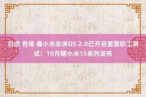 白虎 色情 曝小米澎湃OS 2.0已开启里面职工测试：10月随小米15系列发布