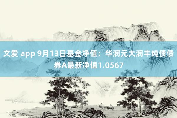 文爱 app 9月13日基金净值：华润元大润丰纯债债券A最新净值1.0567