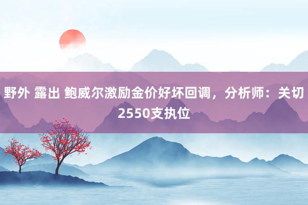 野外 露出 鲍威尔激励金价好坏回调，分析师：关切2550支执位