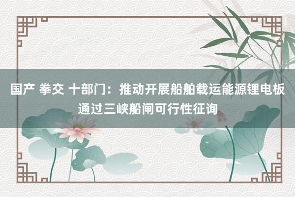 国产 拳交 十部门：推动开展船舶载运能源锂电板通过三峡船闸可行性征询