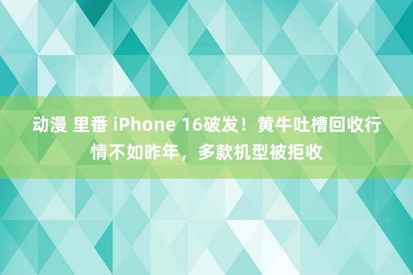 动漫 里番 iPhone 16破发！黄牛吐槽回收行情不如昨年，多款机型被拒收