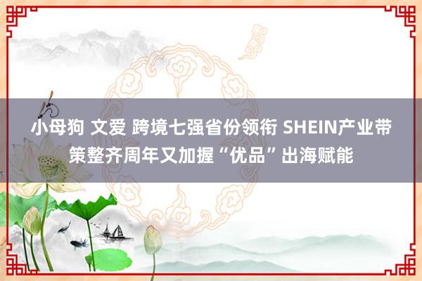 小母狗 文爱 跨境七强省份领衔 SHEIN产业带策整齐周年又加握“优品”出海赋能