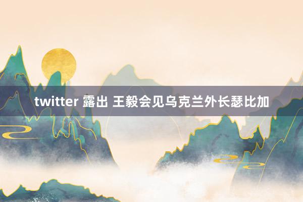 twitter 露出 王毅会见乌克兰外长瑟比加