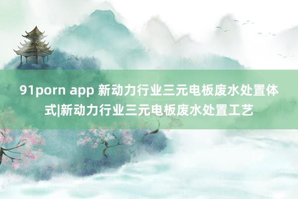 91porn app 新动力行业三元电板废水处置体式|新动力行业三元电板废水处置工艺