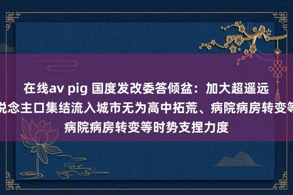 在线av pig 国度发改委答倾盆：加大超遥远极度国债对东说念主口集结流入城市无为高中拓荒、病院病房转变等时势支捏力度