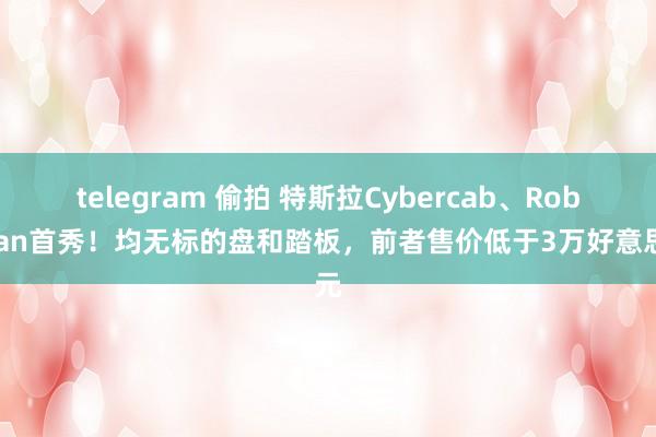 telegram 偷拍 特斯拉Cybercab、Robovan首秀！均无标的盘和踏板，前者售价低于3万好意思元