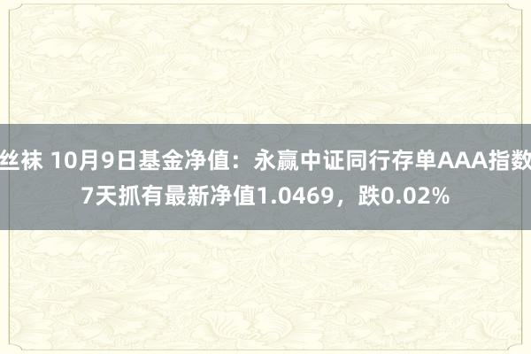 丝袜 10月9日基金净值：永赢中证同行存单AAA指数7天抓有最新净值1.0469，跌0.02%