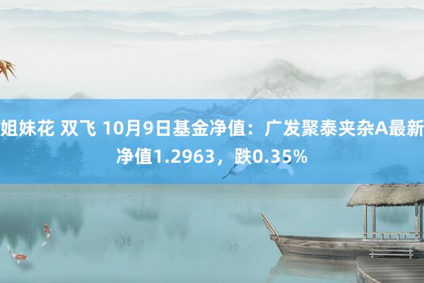 姐妹花 双飞 10月9日基金净值：广发聚泰夹杂A最新净值1.2963，跌0.35%