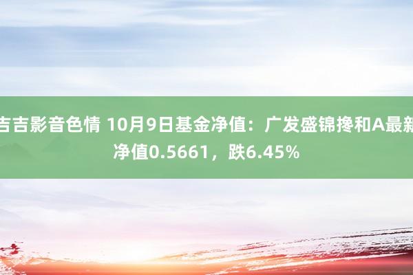 吉吉影音色情 10月9日基金净值：广发盛锦搀和A最新净值0.5661，跌6.45%