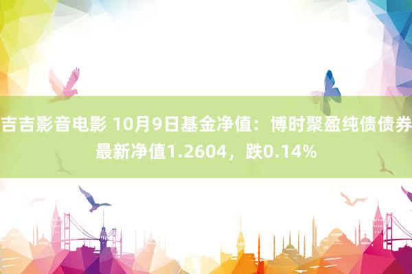 吉吉影音电影 10月9日基金净值：博时聚盈纯债债券最新净值1.2604，跌0.14%