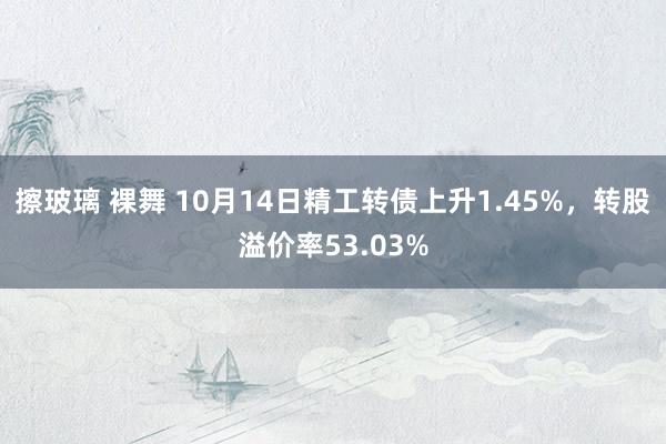 擦玻璃 裸舞 10月14日精工转债上升1.45%，转股溢价率53.03%