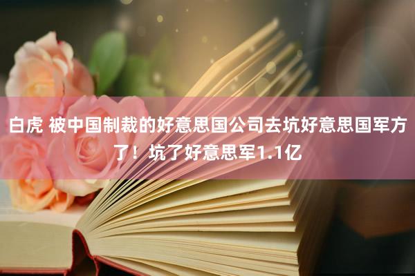 白虎 被中国制裁的好意思国公司去坑好意思国军方了！坑了好意思军1.1亿