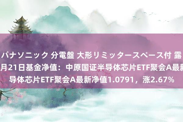 パナソニック 分電盤 大形リミッタースペース付 露出・半埋込両用形 10月21日基金净值：中原国证半导体芯片ETF聚会A最新净值1.0791，涨2.67%