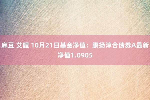 麻豆 艾鲤 10月21日基金净值：鹏扬淳合债券A最新净值1.0905