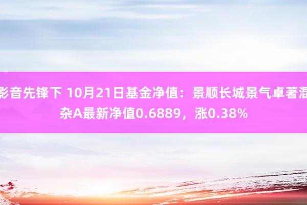 影音先锋下 10月21日基金净值：景顺长城景气卓著混杂A最新净值0.6889，涨0.38%