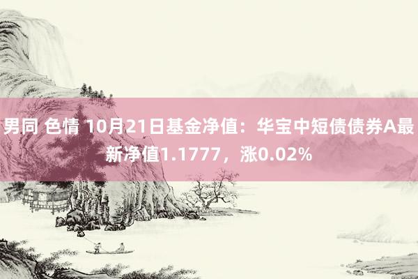 男同 色情 10月21日基金净值：华宝中短债债券A最新净值1.1777，涨0.02%