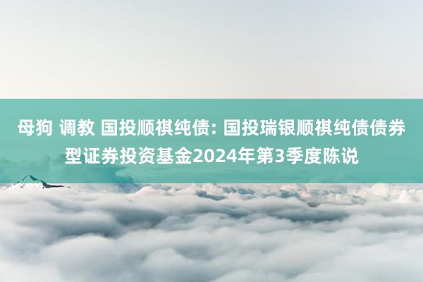 母狗 调教 国投顺祺纯债: 国投瑞银顺祺纯债债券型证券投资基金2024年第3季度陈说