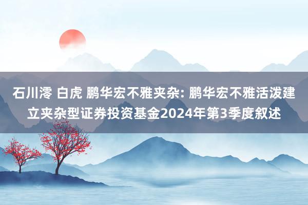 石川澪 白虎 鹏华宏不雅夹杂: 鹏华宏不雅活泼建立夹杂型证券投资基金2024年第3季度叙述