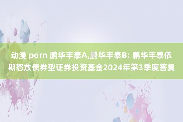 动漫 porn 鹏华丰泰A，鹏华丰泰B: 鹏华丰泰依期怒放债券型证券投资基金2024年第3季度答复