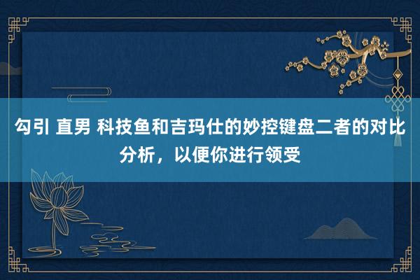 勾引 直男 科技鱼和吉玛仕的妙控键盘二者的对比分析，以便你进行领受