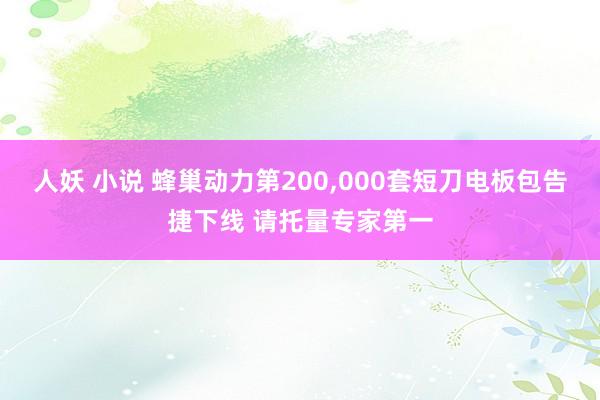 人妖 小说 蜂巢动力第200，000套短刀电板包告捷下线 请托量专家第一