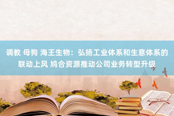 调教 母狗 海王生物：弘扬工业体系和生意体系的联动上风 鸠合资源推动公司业务转型升级