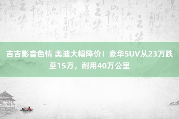 吉吉影音色情 奥迪大幅降价！豪华SUV从23万跌至15万，耐用40万公里