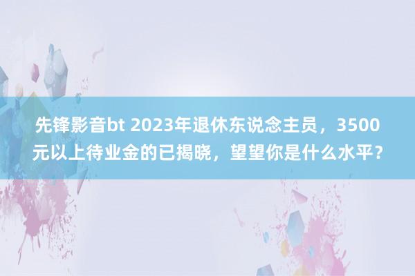 先锋影音bt 2023年退休东说念主员，3500元以上待业金的已揭晓，望望你是什么水平？