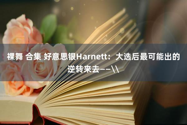 裸舞 合集 好意思银Harnett：大选后最可能出的逆转来去——\