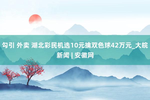 勾引 外卖 湖北彩民机选10元擒双色球42万元_大皖新闻 | 安徽网