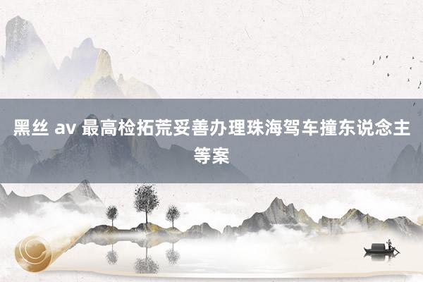 黑丝 av 最高检拓荒妥善办理珠海驾车撞东说念主等案