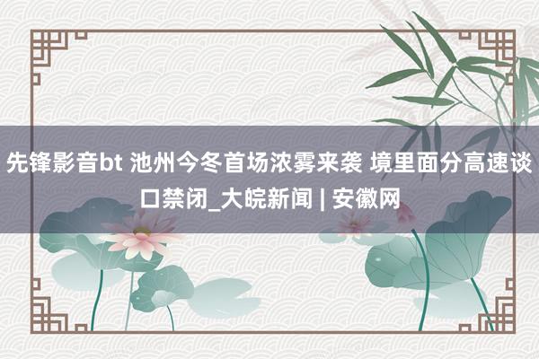 先锋影音bt 池州今冬首场浓雾来袭 境里面分高速谈口禁闭_大皖新闻 | 安徽网